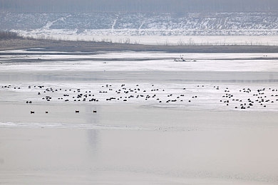 男生和女生插插app：极速搭档双擎挑战，虚拟改装与默契共驾的竞速哲学-5