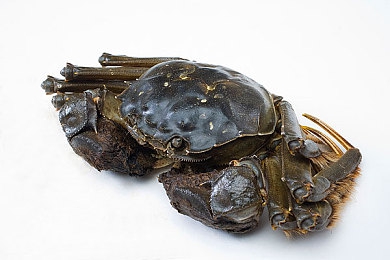 操女人软件：驾驭未来竞速，赛博都市新作以编程思维重塑极速传说