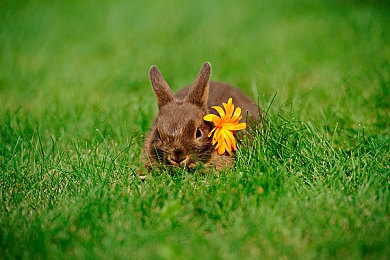 富婆按摩高潮：《极品飞车热度》终极攻略，顶级豪车获取技巧全解析-2