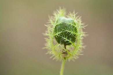 黄色appoppo：极速幻光今日上线，视觉革新引爆赛车游戏新潮流-2