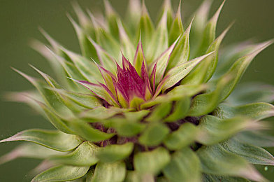 亚拍一区二区:竞速游戏新趋势,双段赛道策略如何颠覆传统驾驶体验-3