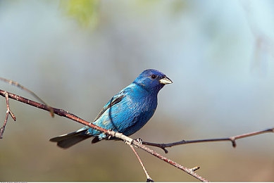 成人福利导航网站:霓虹夜幕下的竞速抉择与机械交响诗篇-2