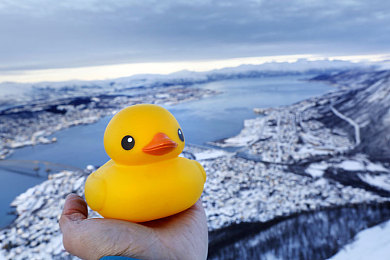 男生把坤坤放在女生的腚眼里:极速入微,弯心烙印,操控艺术的终极平衡-5