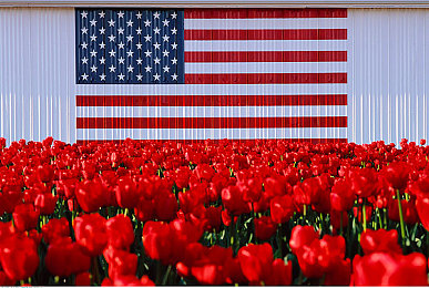 国产成人AC：东方都市幻想赛车新作霓虹线发布，硬核驾驶融合成人叙事