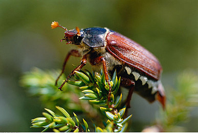 沾污软件：疾驰于赛博都市，用代码决胜极速战场-3