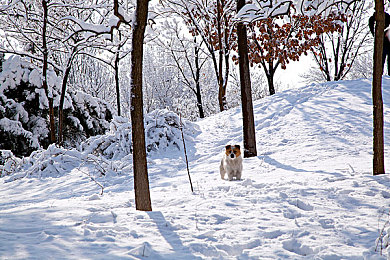 国产乱伦网：家族赛道暗战，技术博弈与商业联姻的赛车风云-2