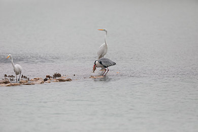 9色丨PORNY丨旧版：霓虹旧路引爆怀旧风潮，九色像素赛车如何诠释速度美学-2