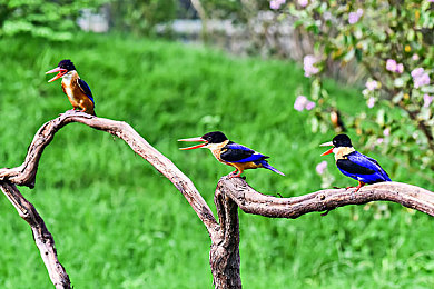 蜜桃Av成人:霓虹都市极速狂飙,改装竞速制霸街头-2