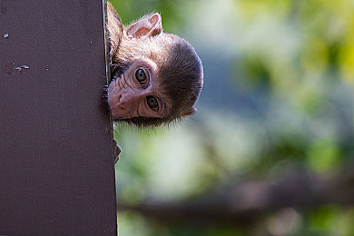 51吃瓜：墨西哥狂飙奇遇记，围观车手们的欢乐现场-2