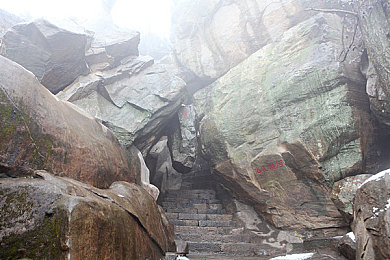 操大逼软件：驾驭虚拟引擎的艺术，极致驾驶体验的赛道霸主-4