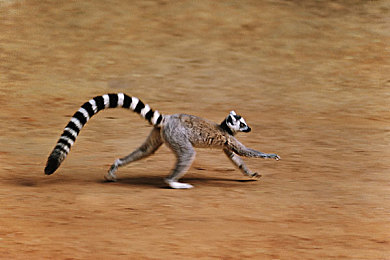 网站你应该明白我说的意思吧：极限竞速地平线，从调校到漂移的终极汽车乐园-3