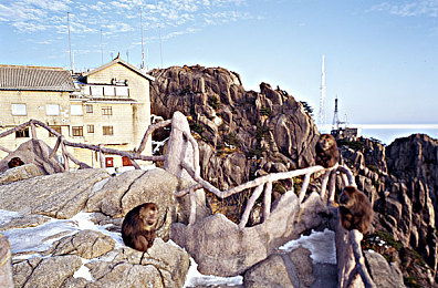 成人ay：从莽撞到掌控，地平线5进阶驾驶艺术全解析