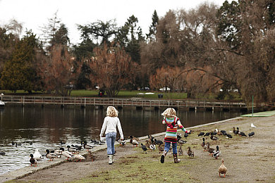 男生的困困到女生困困里：竞速与探索，在双世界驾驶中寻找速度真谛-2