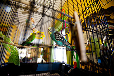 搓搓男和女：双人同心极速狂飙，默契驾驶共闯赛道传奇-3