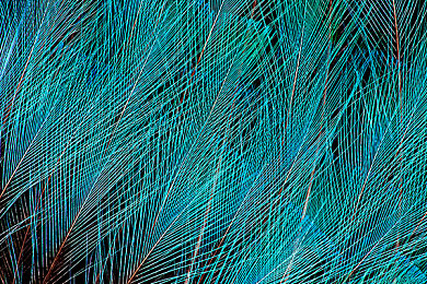 女生玩男生的坤坤：极速狂飙见证女性赛车手打破刻板印象，驰骋虚拟赛道-5