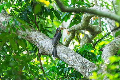 色欲TV：霓虹深渊，极速真相的直播迷城-3