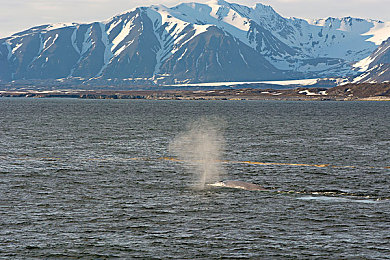 天天干,天天操,天天射：竞速日常，操控艺术，瞬间永恒-4