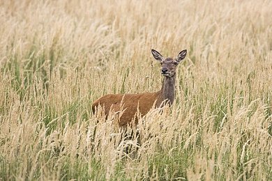 差差差：当赛车游戏放弃拟真，玩家为何痛骂却停不下来-5