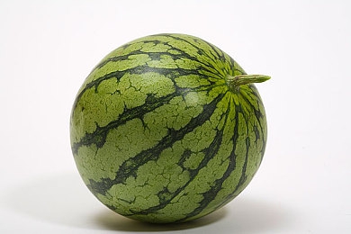 黑瓜网：暗网狂飙，破解情报主宰街头竞速新纪元-3