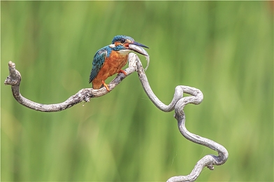 语文课代表趴下来：驾驭文字引擎，在诗词赛道挑战极速漂移-4
