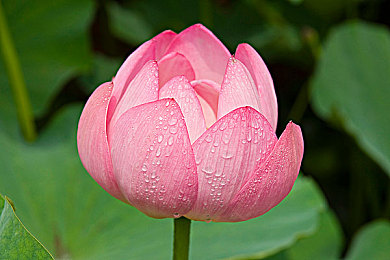 差差差软件：《极速残影》沦为Bug模拟器，玩家在崩溃与搞笑间另类竞速-5