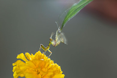 一区一区三区四区18:征服全图终极挑战,地平线分区攻略与赛季制霸指南-3