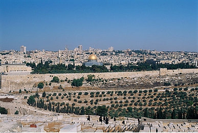 美女差差App：差分美学，赛道智能评鉴之旅-4