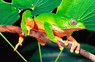 婷婷综合社区：在墨西哥打造你的终极车友聚落，地平线5社区攻略全解析-2