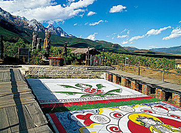 村妇树林日B：迷失乡野的古老契约与光影密语-5