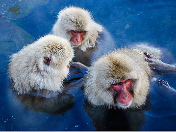 黄先生TV - 提供最新最快的视频分享数据:实时数据驱动赛车革命,高手调校秘籍即刻获取-5