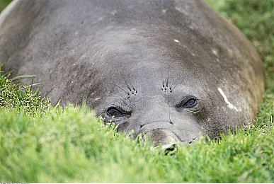 色狼APP：极速美学新标杆，动态涂装竞速游戏今日震撼上线-4