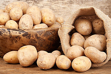 富二代成人版:极限车魂,遗产征途,继承者与赛车帝国的崛起-2