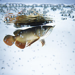 撸丝：极致操控新纪元，赛车模拟游戏如何让指尖艺术刷新你的驾驶认知-2