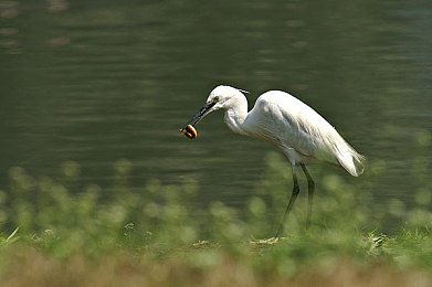 日本BDsM折磨Xx:《赛道支配者》今日上线,以极致拟真重塑硬核竞速驾驶艺术-4