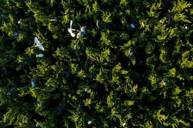 火辣福利导航APP：霓虹都市终极座驾指南，解锁街头竞速新巅峰