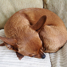 国产色色av：国产竞速新作《极速幻影》正式发售，以极致视听与硬核驾驶重塑赛道激情-3