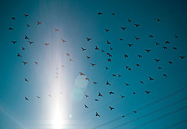 蝌蚪窝一个释放蝌蚪的平台:极速蜕变,赛道基因的觉醒与掌控-3