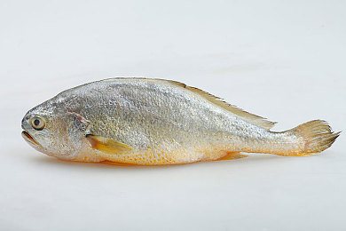 斗罗大陆成人游戏:魂师征途,开放世界自由修炼之旅-5