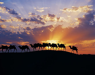 跨越种族娇小美人：魔法与机械交织，异界赛道上的速度传说-2