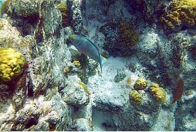 屌逼软件：虚拟车间，街头物理法则重塑计划