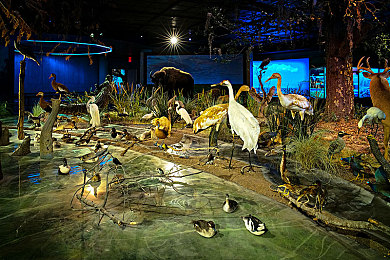 我色综合：极限竞速地平线五，打造你的专属视觉艺术座驾-2