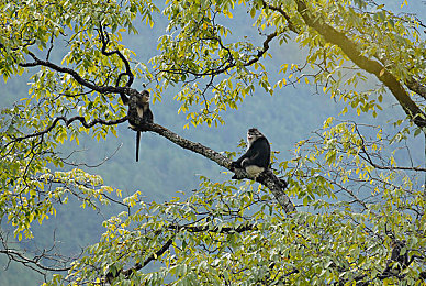 不穿衣服的女人APP：隐形疾驰，幻影导航的极速对决-2