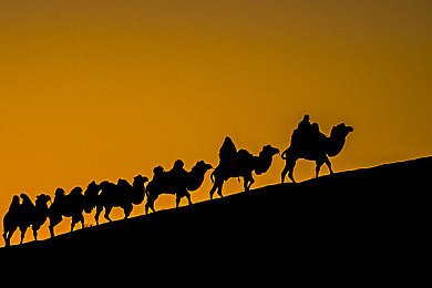 国内av电影：视听竞速新标杆，国产超跑游戏今日震撼发布-2