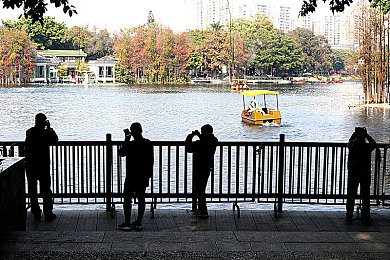 303免费oppo版破解大全免费下载在线观看：OPPO平台极速狂飙都市风云实测，流畅画质与专业攻略全解析-2