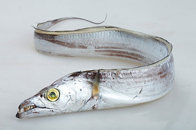 红桃视频成人：虚拟竞速的深度试炼，硬核驾驶的成年仪式-2