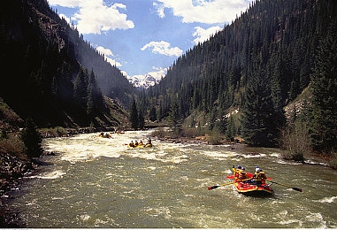 女生和女生一差差差：极速博弈，性别参数重塑赛道策略的驾驶哲学-3