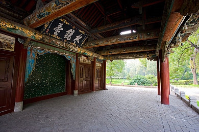 打扑克又疼又叫全过程软件:狂野飙车九竞速传奇,体验极速对决的心理博弈-3