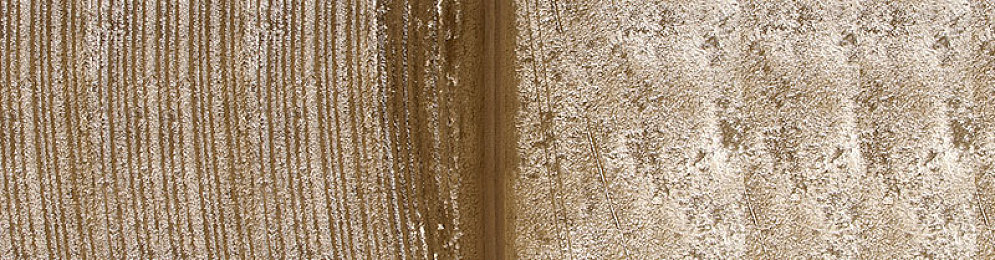 亚洲1区：极速霓虹，东方弯道美学的虚拟竞速之旅-2