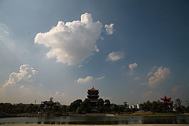 摘黄软件：霓虹数据猎手，疾驰于代码公路的极限追缉-2