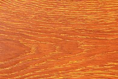 蝌蚪窝一个释放蝌蚪的平台:极速蜕变,赛道基因的觉醒与掌控-4